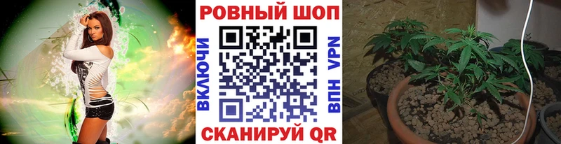 Сколько стоит Сенгилей MDMA  Меф мяу мяу  Псилоцибиновые грибы  A-PVP  ГАШИШ  Амфетамин 