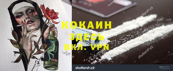 твердый Балахна